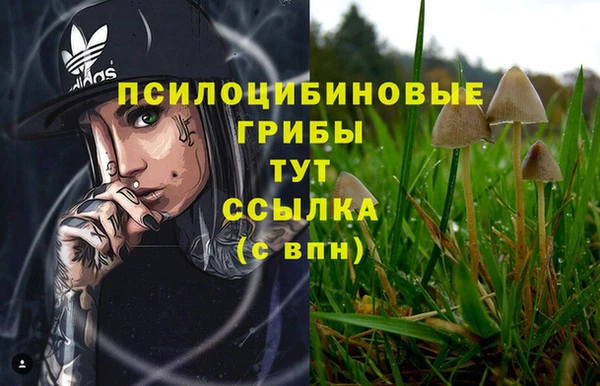 не бодяженный Алексин