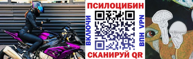 Псилоцибиновые грибы Psilocybine cubensis  Усть-Илимск 