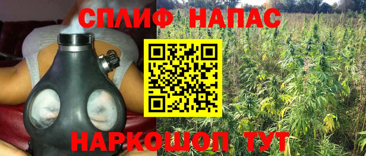 Каннабис план  Бошки марихуана White Widow  Вход с VPN  Канабис SATIVA & INDICA  МАРИХУАНА ГИДРОПОН  Усть-Илимск 
